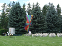 2010 Tuesday004 full